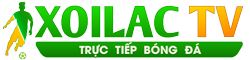 cổ phiếu dbc